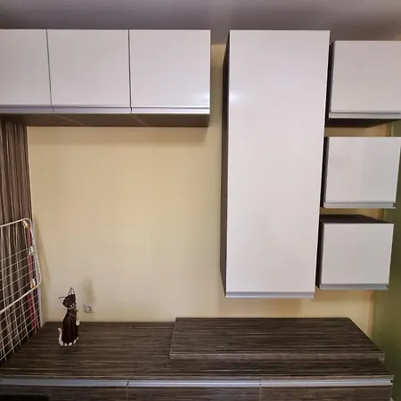 Apartment Hisar *